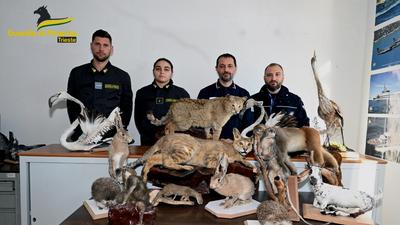 Zollfahnder mit den beschlagnahmten präparierten Tieren