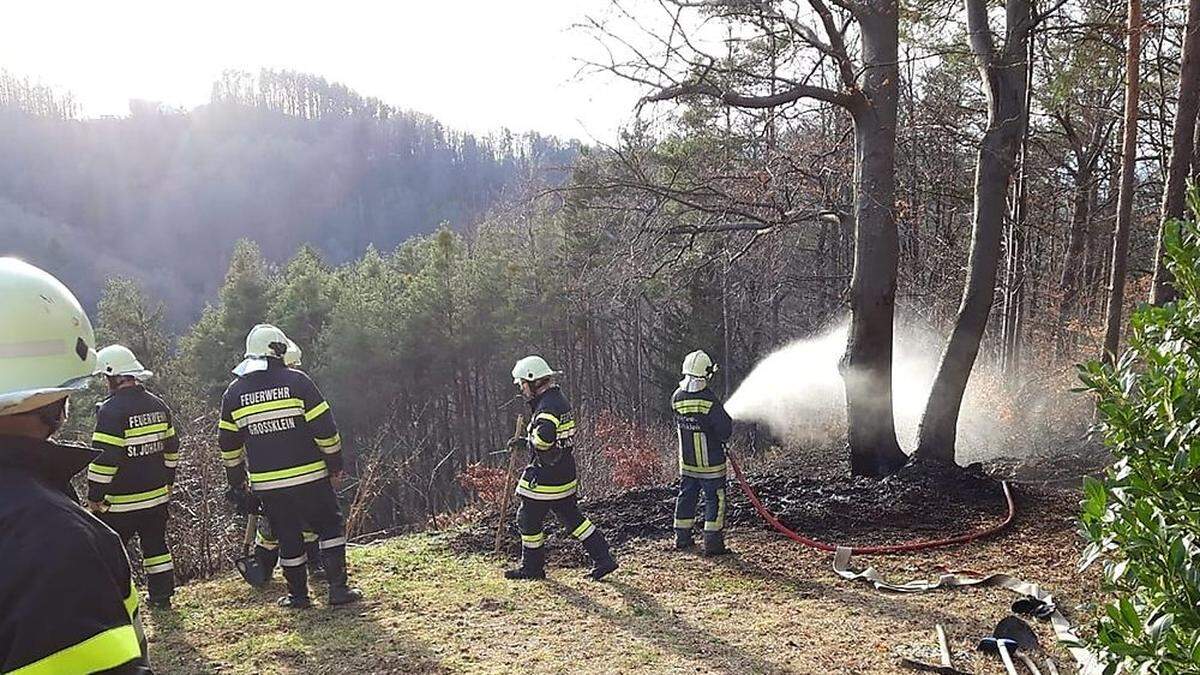 Drei Feuerwehren waren in Eichberg-Trautenburg im Einsatz