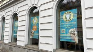 Ein Alpaka schaut in der Conrad-von-Hötzendorf-Straße aus dem Fenster – im Jänner will man eröffnen