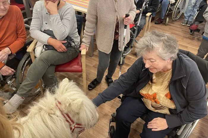 Beim Frühlingsfest waren die Tiere des Erlebnisbauernhofs Marchler zu Gast und erfreuten Jung und Alt.