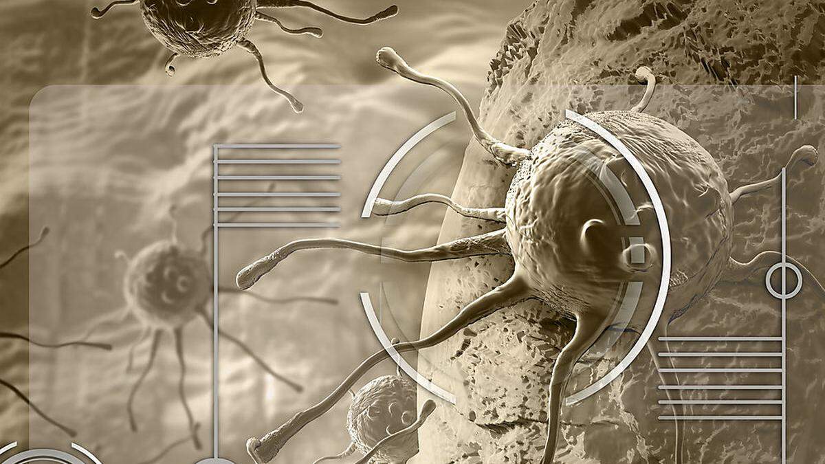 Eine Krebsdiagnose wird häufig verschwiegen