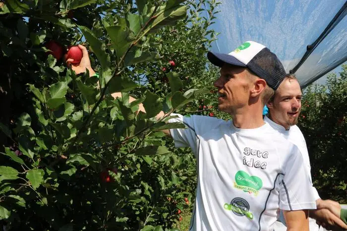 Extremradler und Weltrekordhalter Thomas Mauerhofer pflückte die Äpfel gekonnt.