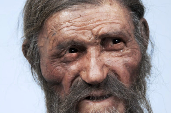 So könnte Ötzi Computeranimationen zufolge ausgesehen haben.