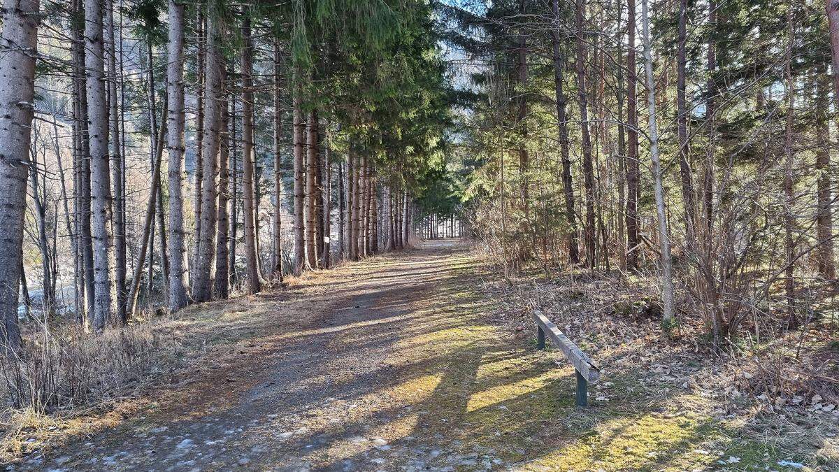 Der Iseltrail zwischen St. Johann und Huben hätte asphaltiert und als Radweg genutzt werden sollen 