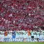 Austria players celebrate with their fans after the UEFA Euro 2024 Group D football match between the Netherlands and Austria at the Olympiastadion in Berlin on June 25, 2024. (Photo by Ronny HARTMANN / AFP)