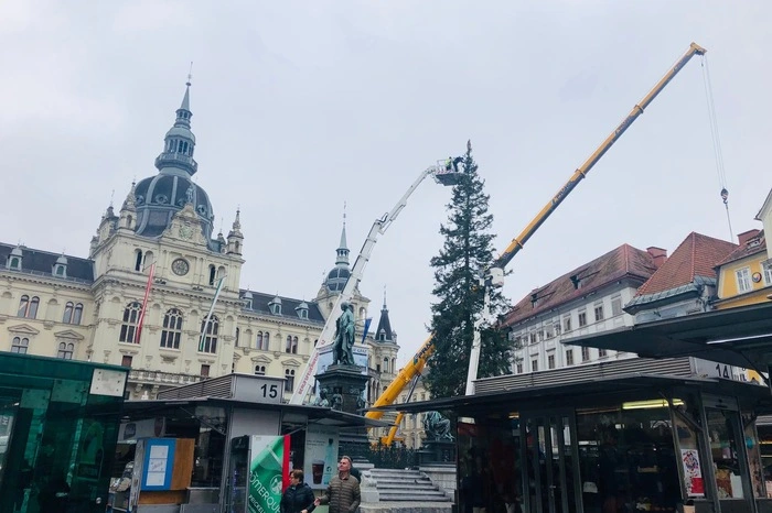 Die feierliche Illumination des Baumes findet am 30. November um 16.30 Uhr statt.