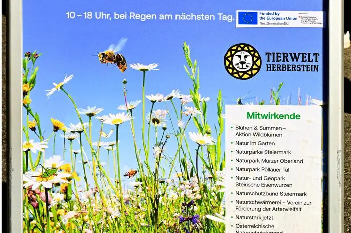 Zu den vielen Informationen zur Natur in der Gegenwart gab es aus dem Natur- und Geopark Steirische Eisenwurzen auch Fossilien der fernen Vergangenheit von 200 Millionen Jahren zu besichtigen. 