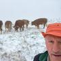 Erwin Gruber, Bürgermeister von Gasen und Obmann des Naturparks Almenland, erreichen wir, als er gerade selbst neun Kühe von der Alm holen will