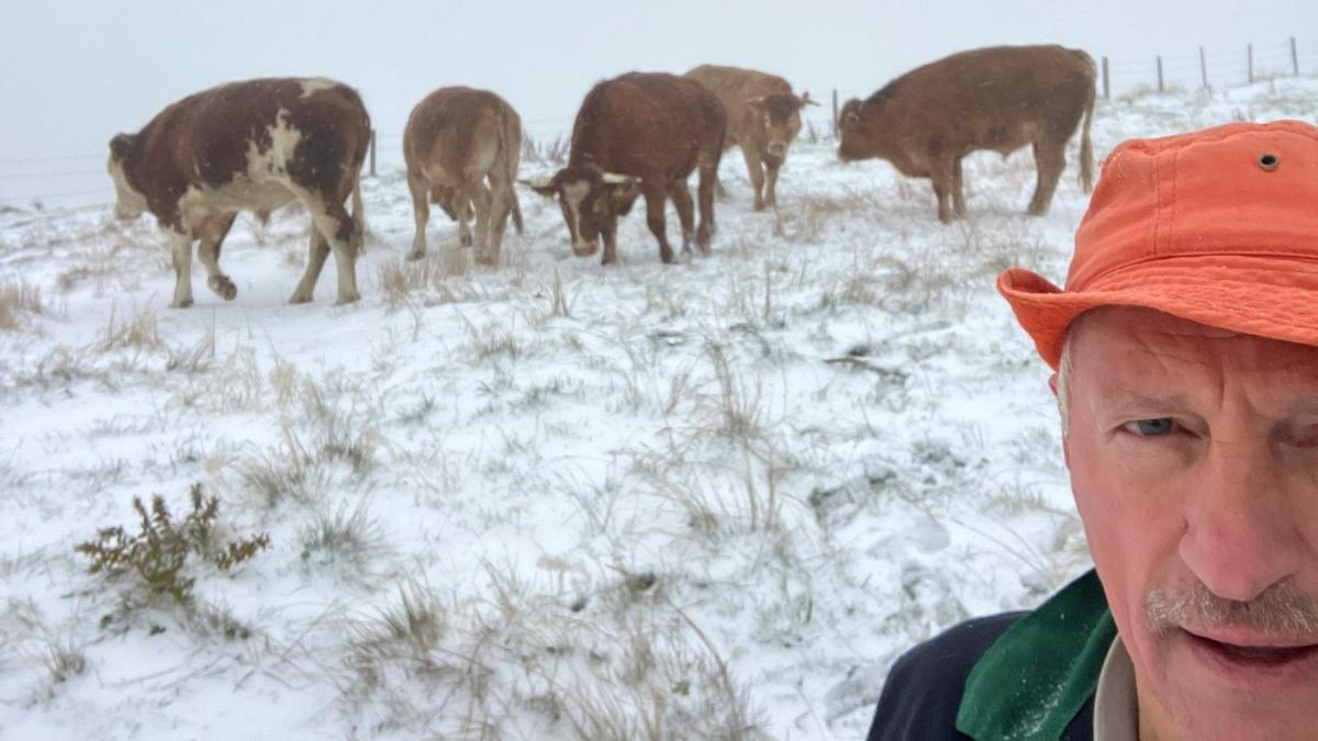 Erwin Gruber, Bürgermeister von Gasen und Obmann des Naturparks Almenland, erreichen wir, als er gerade selbst neun Kühe von der Alm holen will