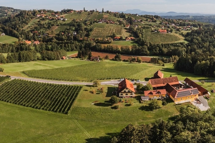 Das Weingut Trapl aus der Vogelperspektive.
