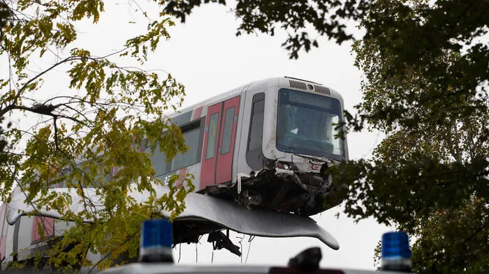 Eine Walflosse hat in den Niederlanden einen Zug aufgehalten, bevor er in die Tiefe stürzen konnte.