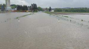In Gleinstätten wurden Felder und Straßen überflutet
