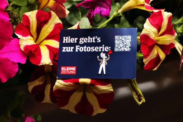 Bitte klicken Sie sich durch die bilder!