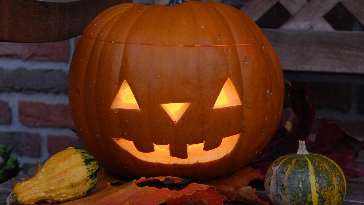 CYLYH Halloween Fotohintergrund – 2,4 X 1,8 M, Mit Kürbissen, Alten Bäumen & Spukschloss, Aus Vinyl, Für Partys & Fotoshootings