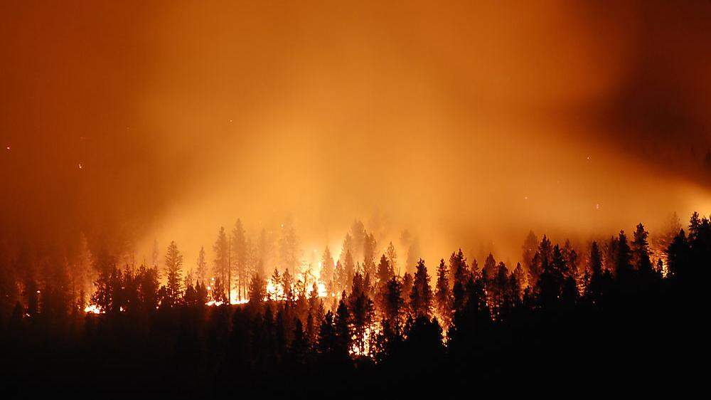 Es herrscht extreme Waldbrandgefahr (Symbolbild)