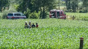 Die Maschine stürzte 100 Meter von der Startbahn entfernt in ein Maisfeld 