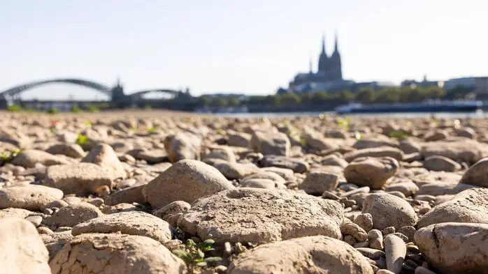 Niedrigwasser am Deutzer Rheinufer bei Köln