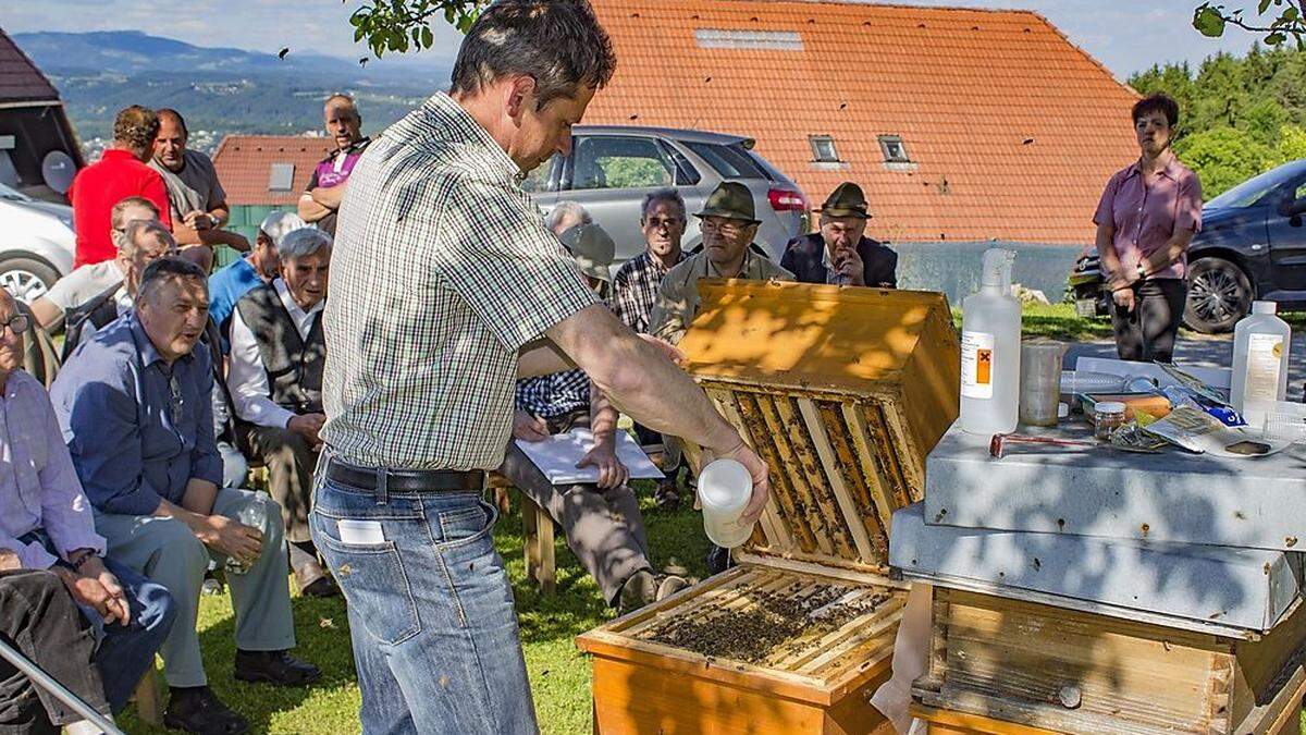 Werner Kurz, Ausbilder vom Landesverband für Bienenzucht, hielt mit Theresia Harrer vor rund 50 Imkern eine Schulung zum Thema Bienengesundheit ab