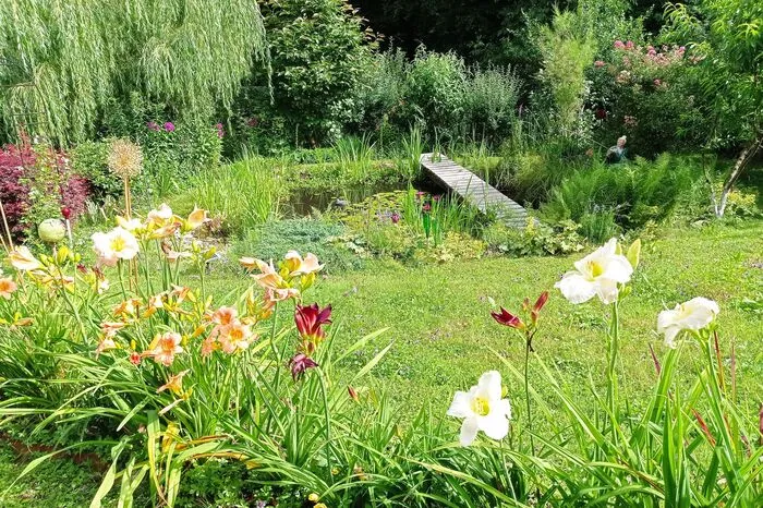 "Zur Zeit blühen in unserem Garten die Taglilien, im Hintergrund ein kleiner Naturteich. Im "wilden Eck" wachsen Eselsdistel, wilde Karde und Blutweiderich", berichten uns Johann und Gertrude Holzer aus Mooskirchen.