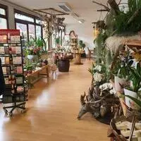 Die Pusteblume in Gurk musste schließen