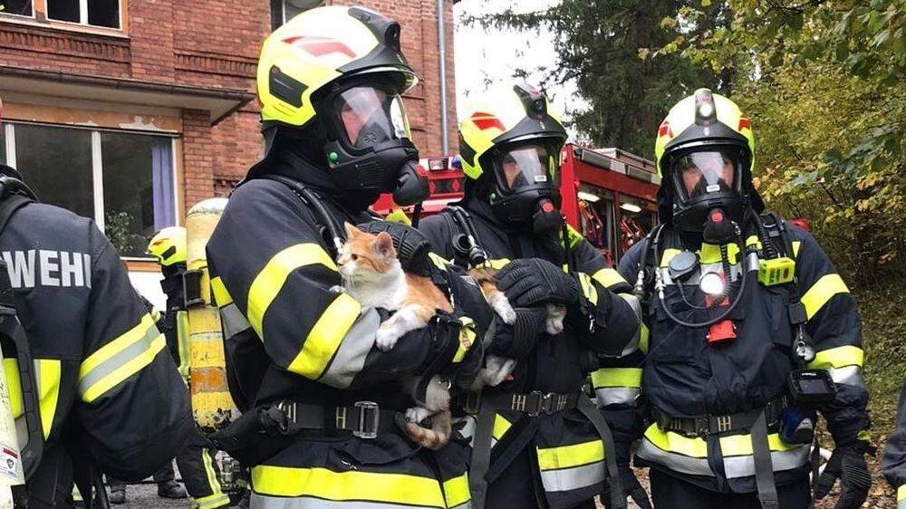 Die Feuerwehrleute mit den geretteten Katzerln