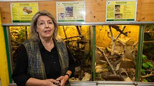 Helga Happ vor einem Terrarium. Die Reptilien wurden beschlagnahmt bzw. aus Desinteresse abgegeben