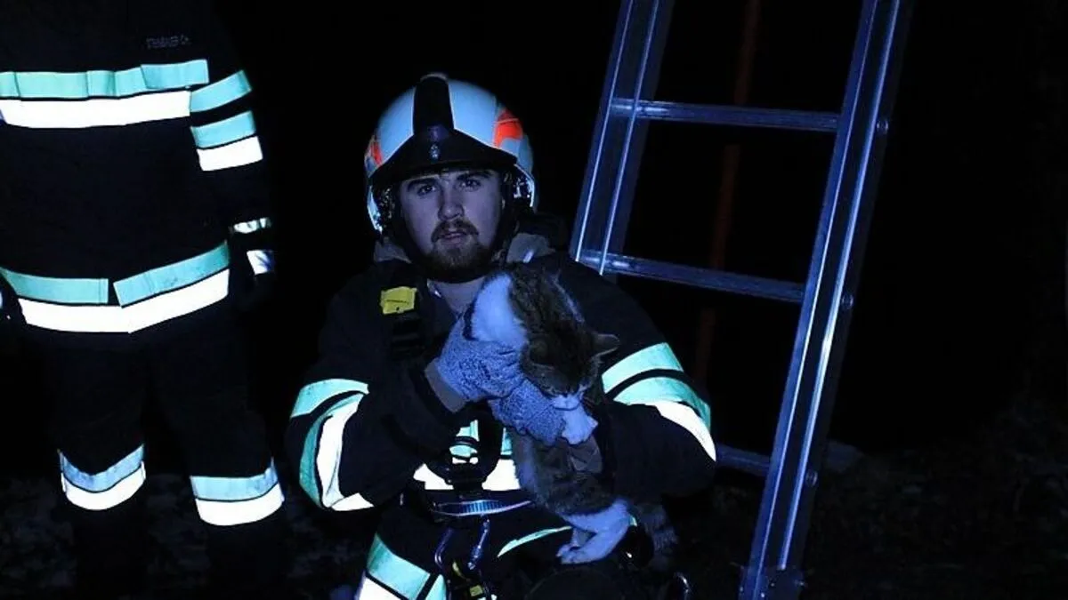 Ein Feuerwehrmann rettete die Katze
