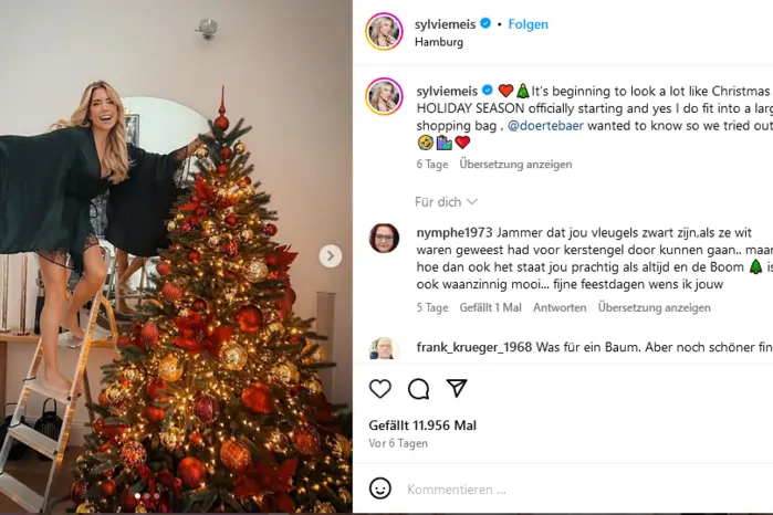 Auch Sylvie Meis zeigt stolz ihren Christbaum