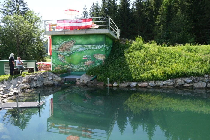 Das neue Kraftwerk Schoba II fügt sich idyllisch mit einem Biotop für Forellen und Amphibien in die Landschaft.