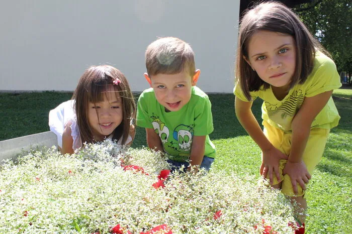 68 Kinder besuchen den Kindergarten Grafenstein: Das "Kärntner Sterndl" hatte Gärtner "Flori" als Geschenk für alle Kinder mit gebracht.
