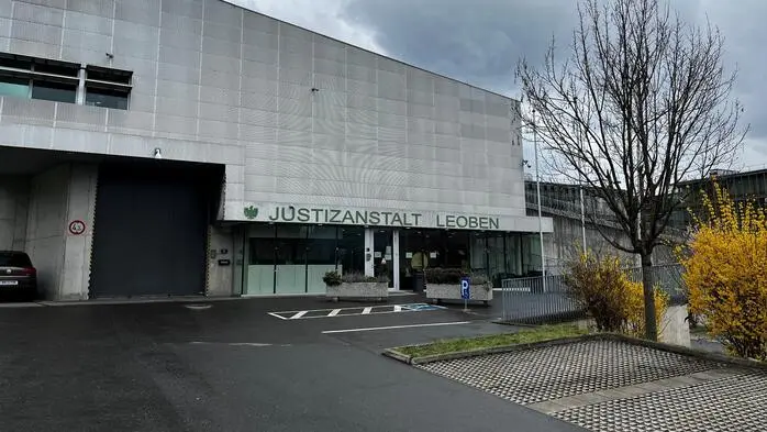 Der 17-Jährige wurde festgenommen und sitzt derzeit in der Justizanstalt Leoben 