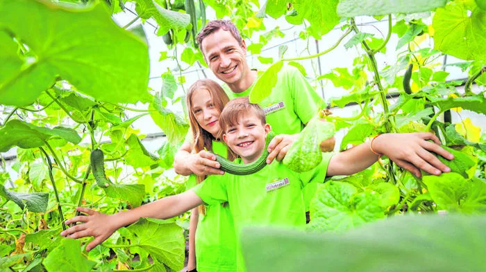 Hillebrand. Markus, Lena und Lukas Hillebrand im Tunnel vol­ler Nützlinge in Premstätten.