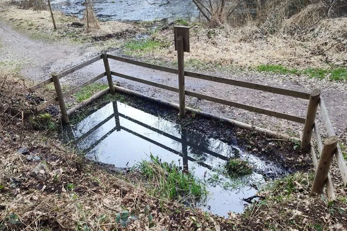 Das Biotop beim Franz-Ludwig-Steig.