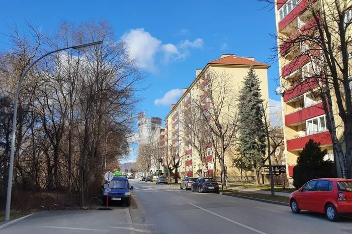 Auf Höhe Borg-Sportplatz vor der Dreierschützengasse fallen die meisten Bäume. Jene im Bild links werden alle gefällt, jene im Bild rechts gelten als "gefährdet".