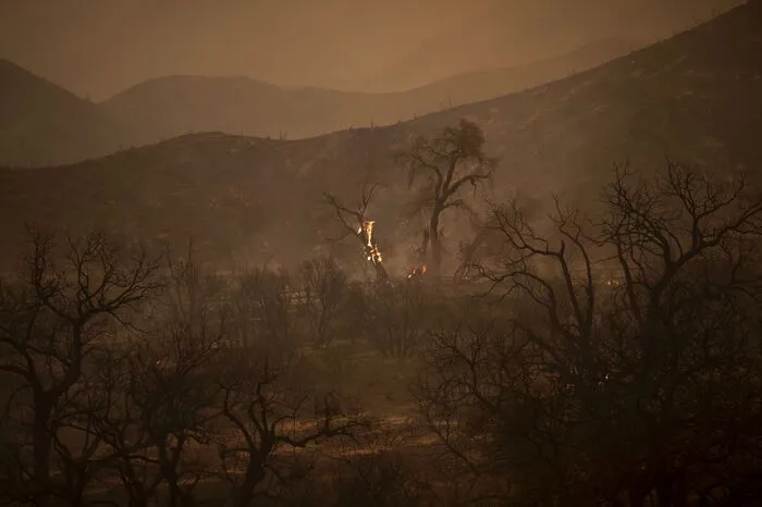 Rettungskräfte fanden in Santa Clarita eine Leiche. Ob der Mensch durch das Feuer starb, ist bisher unklar.