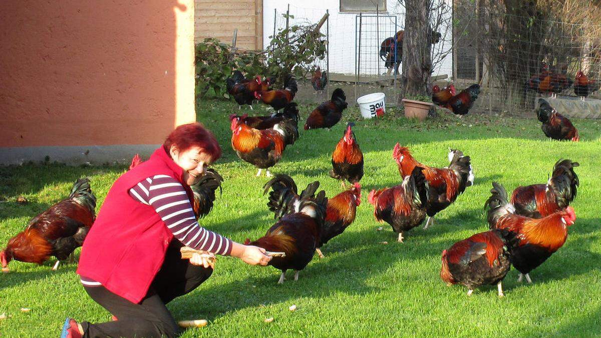 Züchterin Gertrude Strohmaier mit ihren Sulmtalern 