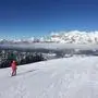 planai skifahren schifahren ski schi winter schnee sonne urlaub piste sujet dachstein schladming