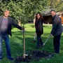 Helmut Stubenvoll, Ingrid Felipe und Gregor Semmelhofer pflanzen einen Apfelbaum im Klostergarten der Kreuzschwestern in Hall
