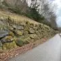 Im Sommer/Herbst soll die bergseitige Wandmauer an der Bleiburger Straße (B81 ) auf einer Länge von 200 Meter in Neuhaus saniert werden