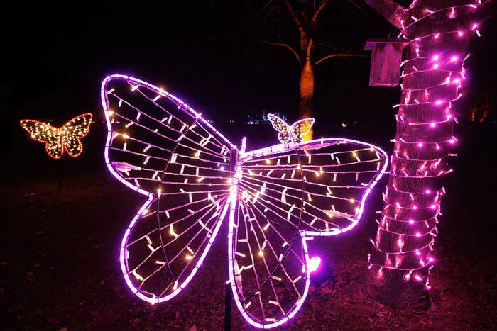 Der Golfclub Murhof bei Frohnleiten präsentiert in der Vorweihnachtszeit mit "Lumagica" einen 1,5 Kilometer langen Rundweg, der zum Staunen und Träumen einlädt