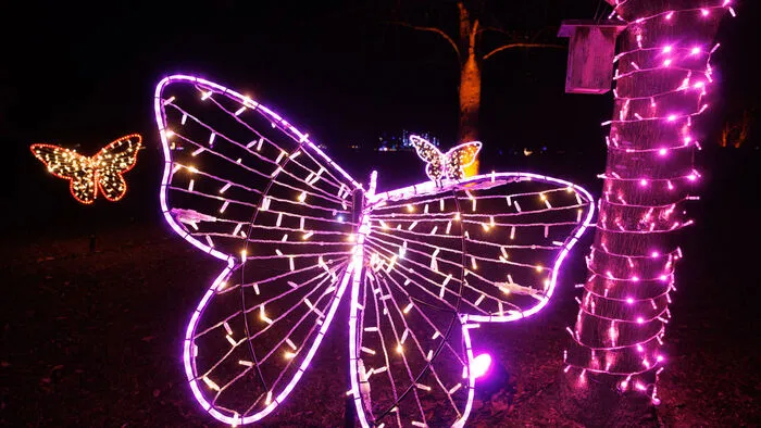 Der Golfclub Murhof bei Frohnleiten präsentiert in der Vorweihnachtszeit mit "Lumagica" einen 1,5 Kilometer langen Rundweg, der zum Staunen und Träumen einlädt 