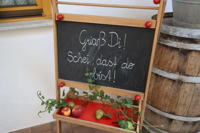 Wer so glücklich war und einen Platz ergatterte, konnte bei einer von drei Führungen durch den Obstgarten die Bäume selbst begutachten.