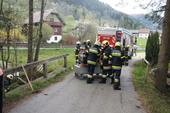 72 Feuerwehrleute waren im Einsatz: Die FF Bad Kleinkirchheim, Patergassen und Ebene Reichenau. Die Wasserversorgung wurde von der FF Patergassen und der FF Ebene Reichenau übernommen.