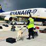Ryanair-Maschine wurde umgeleitet und in Minsk zur Landung gezwungen