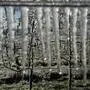 Die Frostberegnungsanlagen liefen bei Obstbauern im Bezirk Weiz heiß