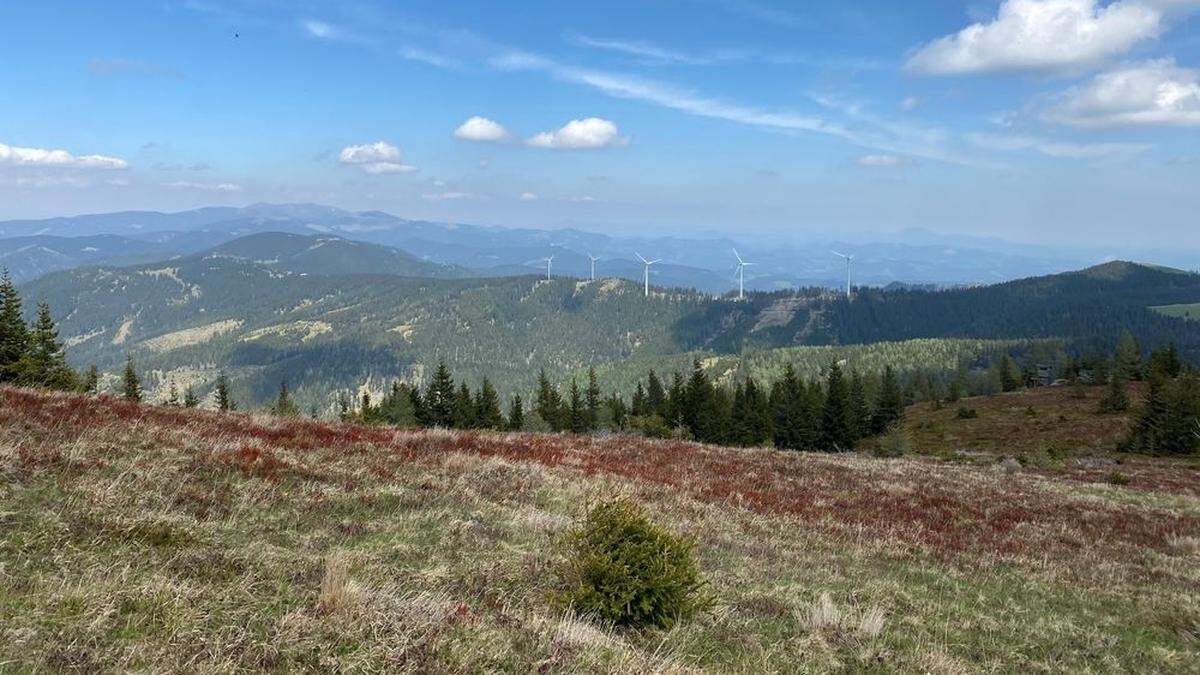 Auf den Almen in der Weststeiermark tummeln sich aufgrund des Lockdowns zahlreiche Menschen