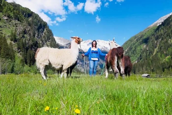 Egal ob abendliche Dorfrunde oder ausgedehntere Touren im Tauern- und Seebachtal. Auch Lama-Kindergeburtstage sind möglich. 