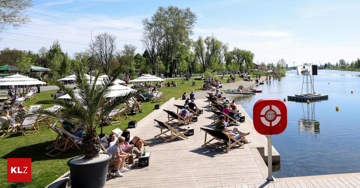 Vandalen-in-Graz-Meterhohe-Palmen-wurden-in-Mur-versenkt