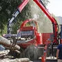 2020 findet definitiv keine Holzmesse in Klagenfurt statt