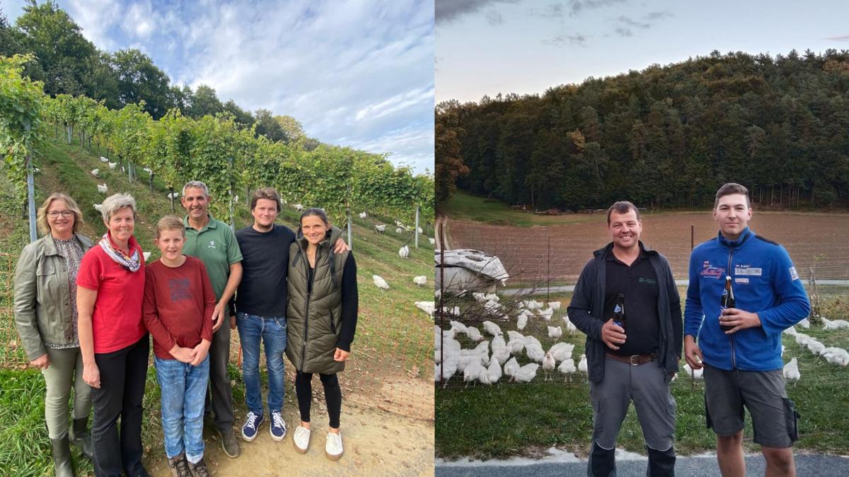 Links: Familie Puntigam, Familie Birkl und Monika Hafenscher von Lugitsch Futtermittel begutachten den Fortschritt der Bresse-Hühner in Untergiem
Rechts: Gerhard Maier (l.) freut sich bereits auf die ersten konventionellen Bresse-Hühner aus der Südoststeiermark ab 15. November